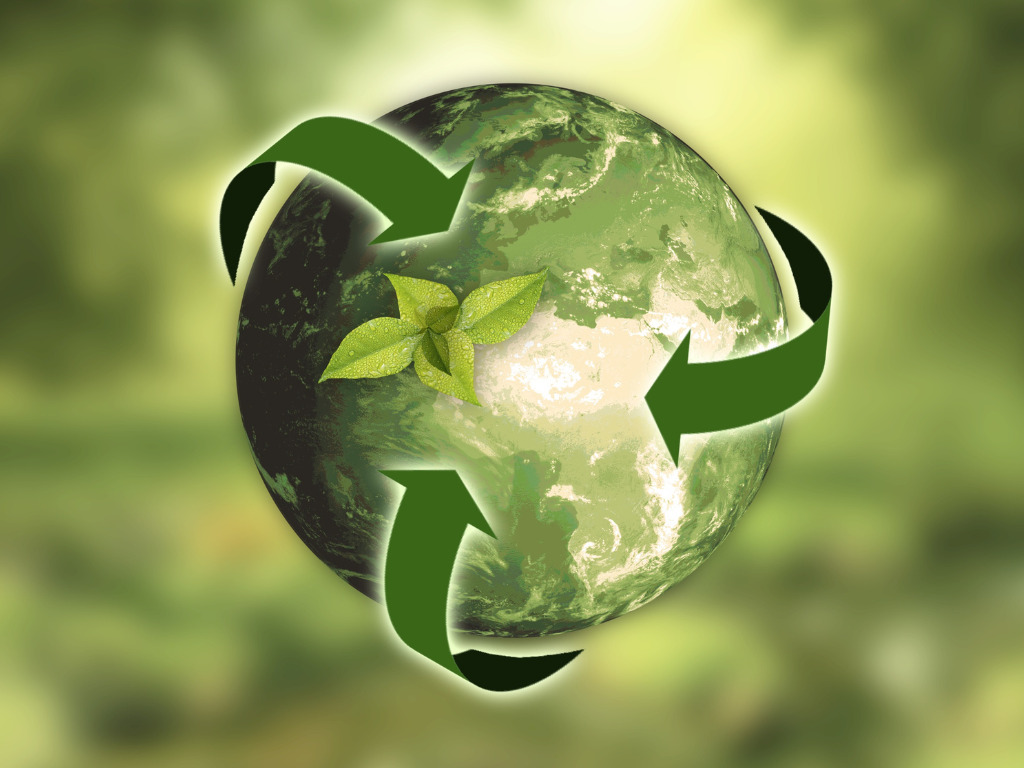 Sustainability as a Key Investment Driver